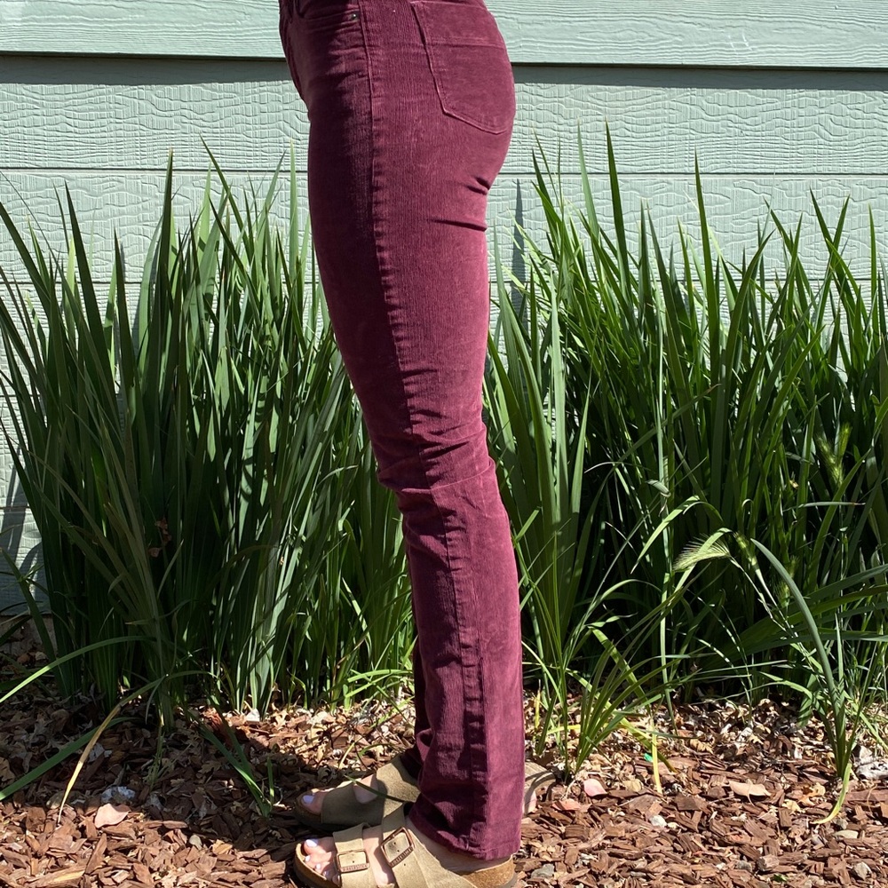 Patagonia cords